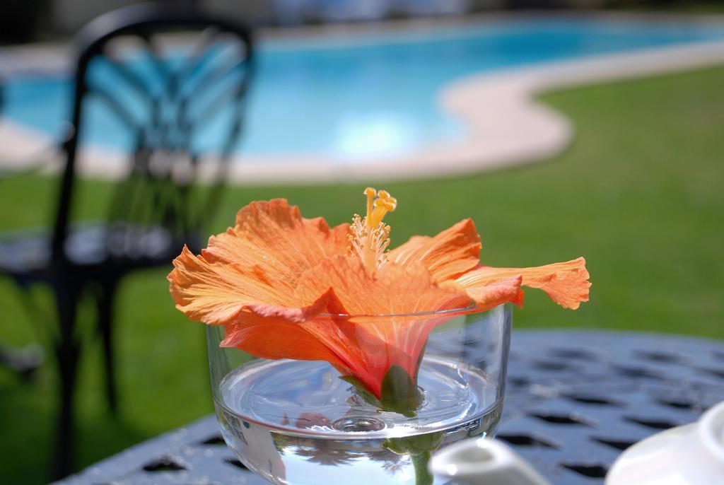 Mandalay Guest House Plettenberg Bay Bagian luar foto